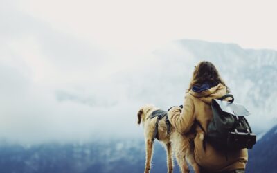 Do you have a four-legged adventure-partner?