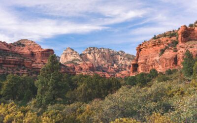 Lost Arizona Hiker Fined Almost $300,000 For Forest Fires