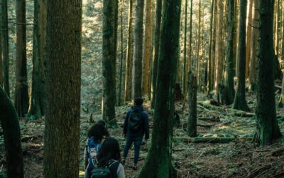 10 Practical Ways to Stay Safe in the Woods