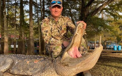 Guide to Hunting Gators in Louisiana: Hunting Methods, Gear and What you’ll Need