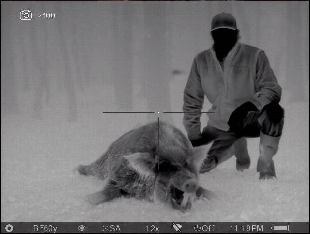 Thermal Hog, Powderly TX 1