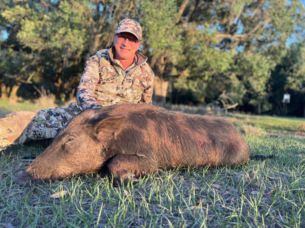 Florida Hog Hunting, Ronan, 1