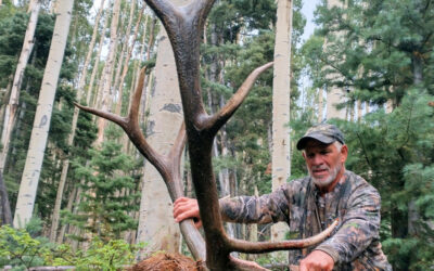 5 Beginner Hunts To Complete Before Chasing Elk