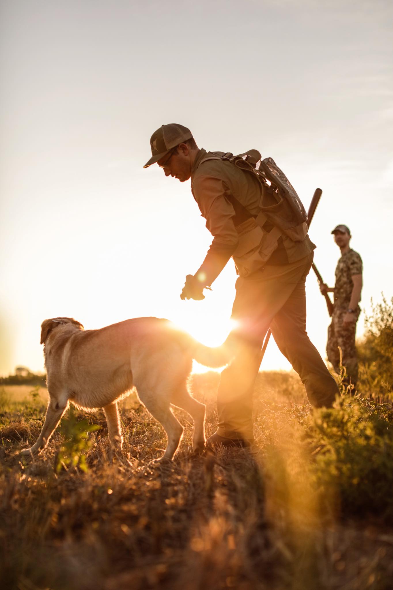 Nebraska snow goose with band.