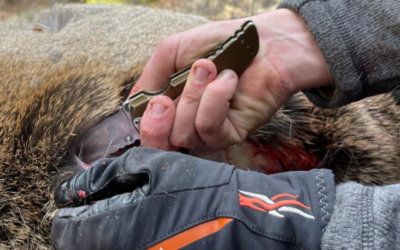 Hunt Prep – Gear List: Everything you Need for your Western Hunt
