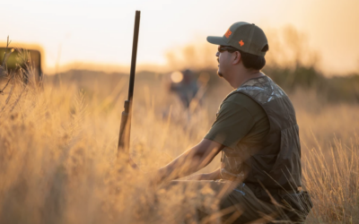 Complete Guide to Dove Hunting in North Carolina – Where to Hunt, Gear Recommendations and License
