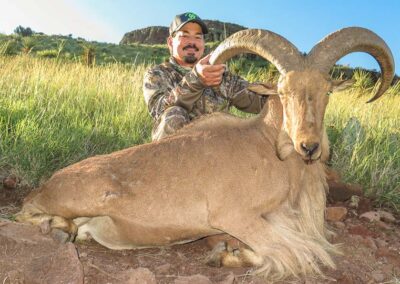 Aoudad hunt, Alpine Texas