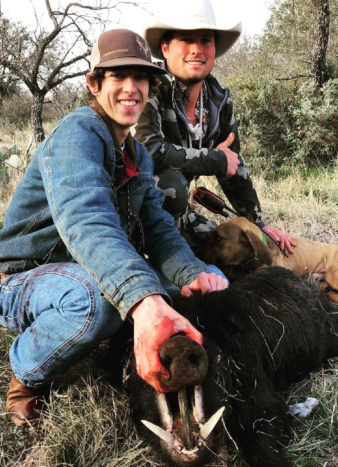 Hog Hunt with dogs in Dilley, Texas
