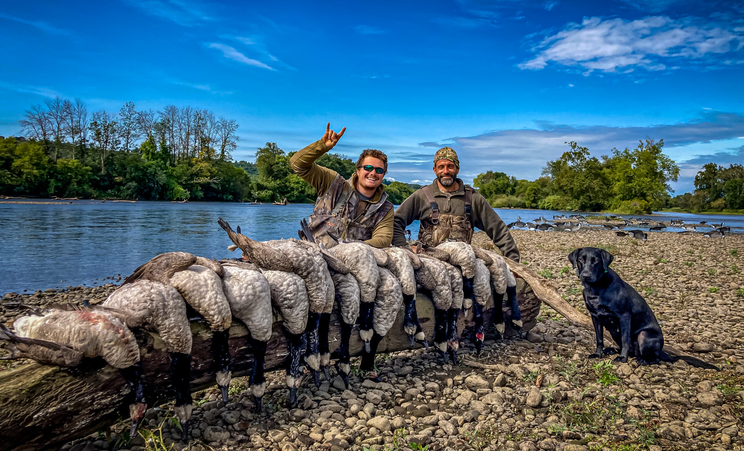 Hunters in Albany, New York pictured with geese after a successful hunt.
