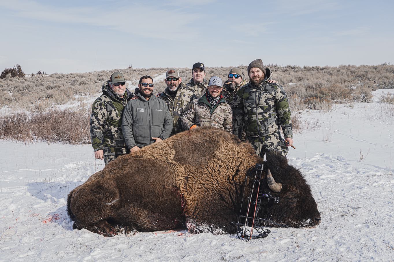 Montana, Bison, BB 4
