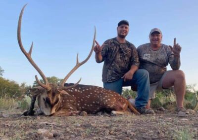 Axis Hunt in Sonora, TX