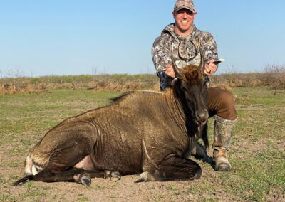 Nilgai Hunt, Raymondville, TX