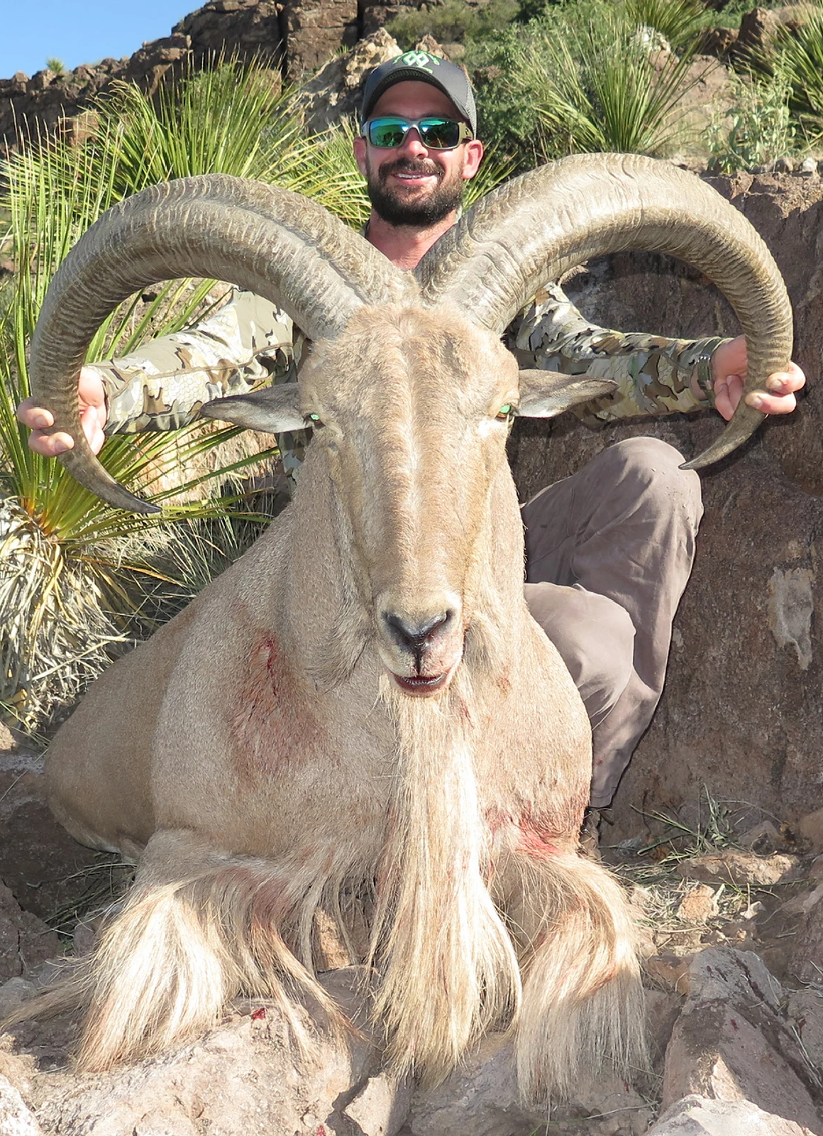 Texas Exotics - Free Range