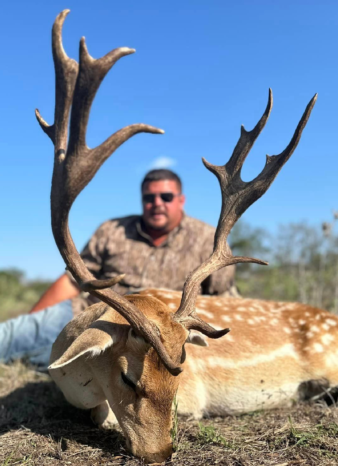Texas Exotics - Free Range
