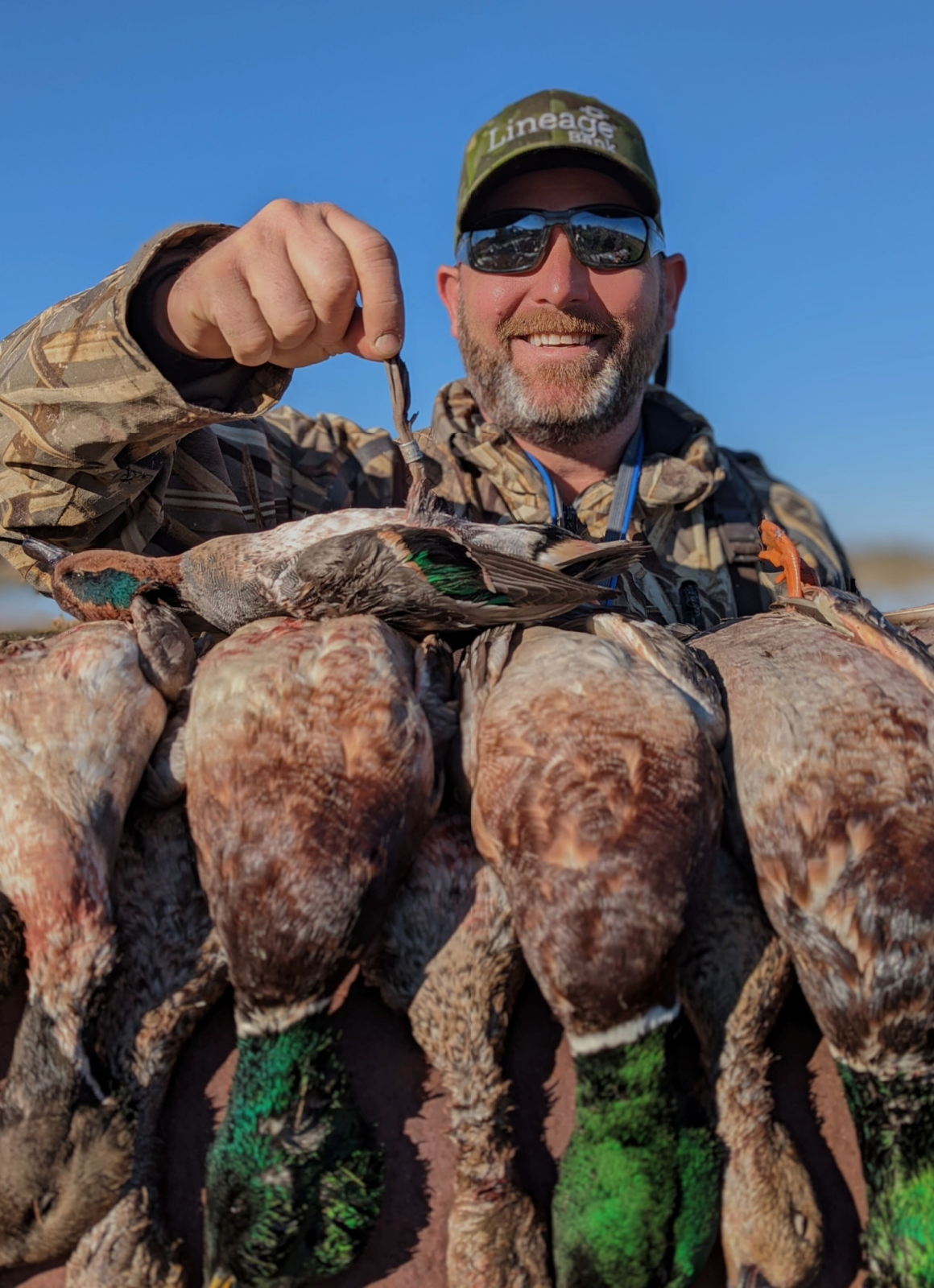 Hunter pictured at sunrise over decoys during a Maryland duck hunt.