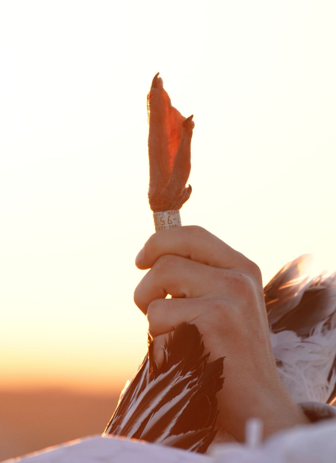 Hunters with ducks after a successful hunt in Washington state.