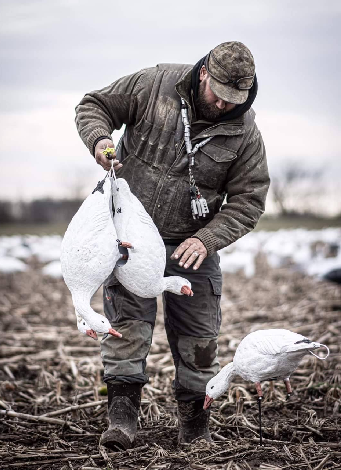 Hunter pictured at sunrise over decoys during a Maryland duck hunt.