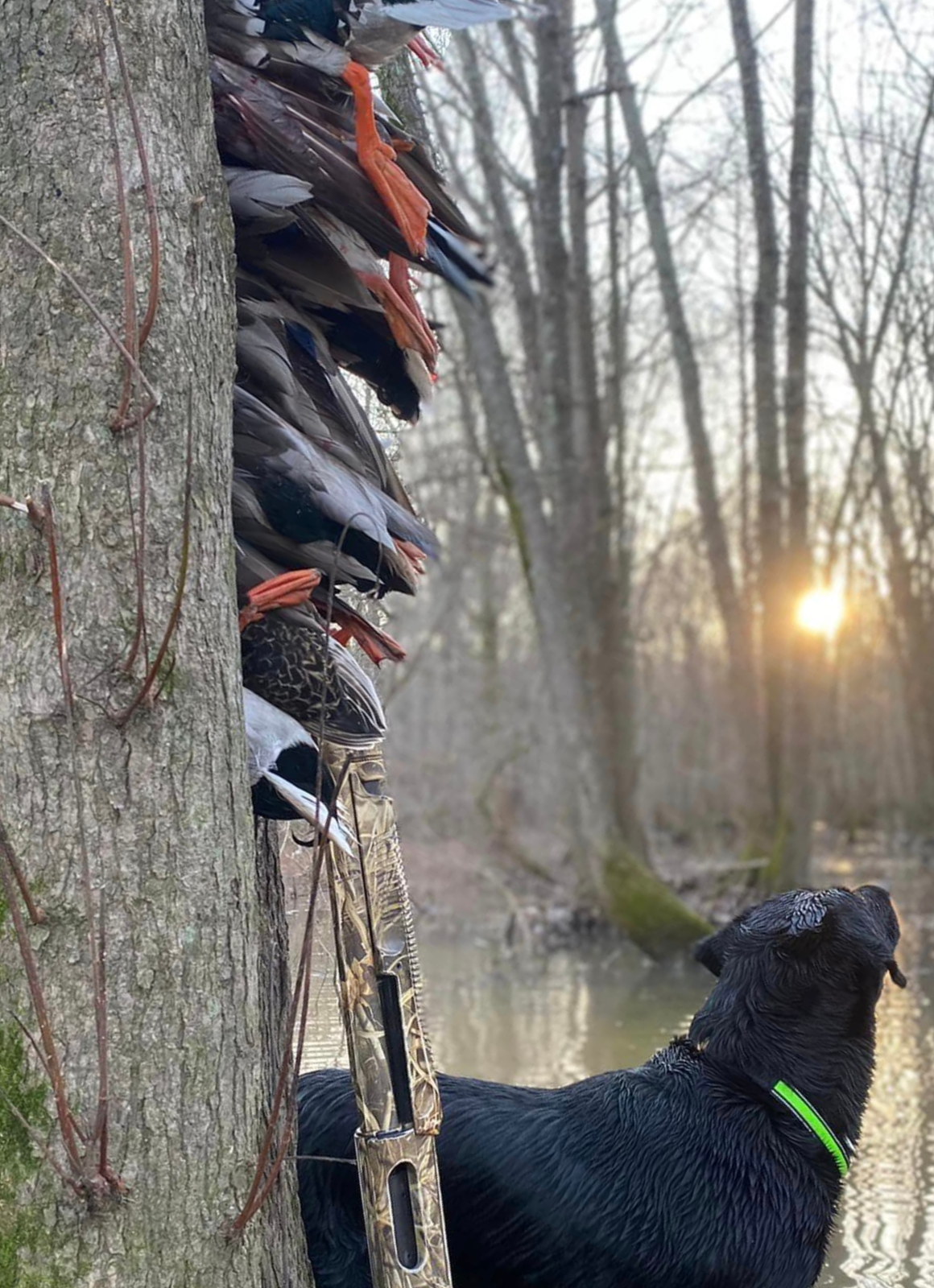 Hunters with ducks after a successful hunt in Washington state.