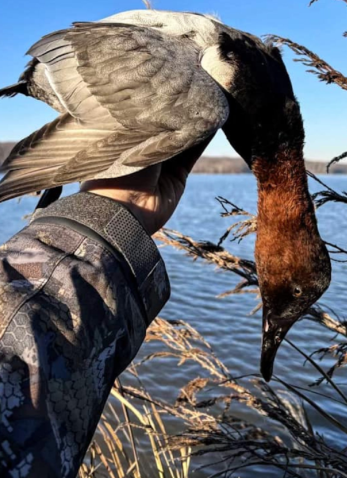 Hunters pictured in the woods for a timber duck hunt in Arkansas.