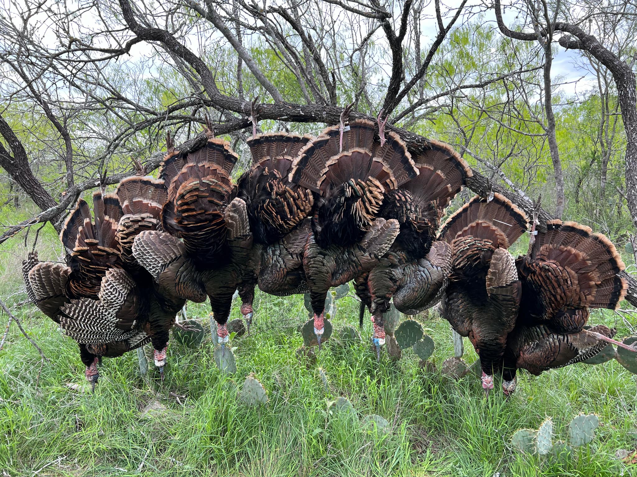 Carson Blackstone, Nebraska hunting outfitter.