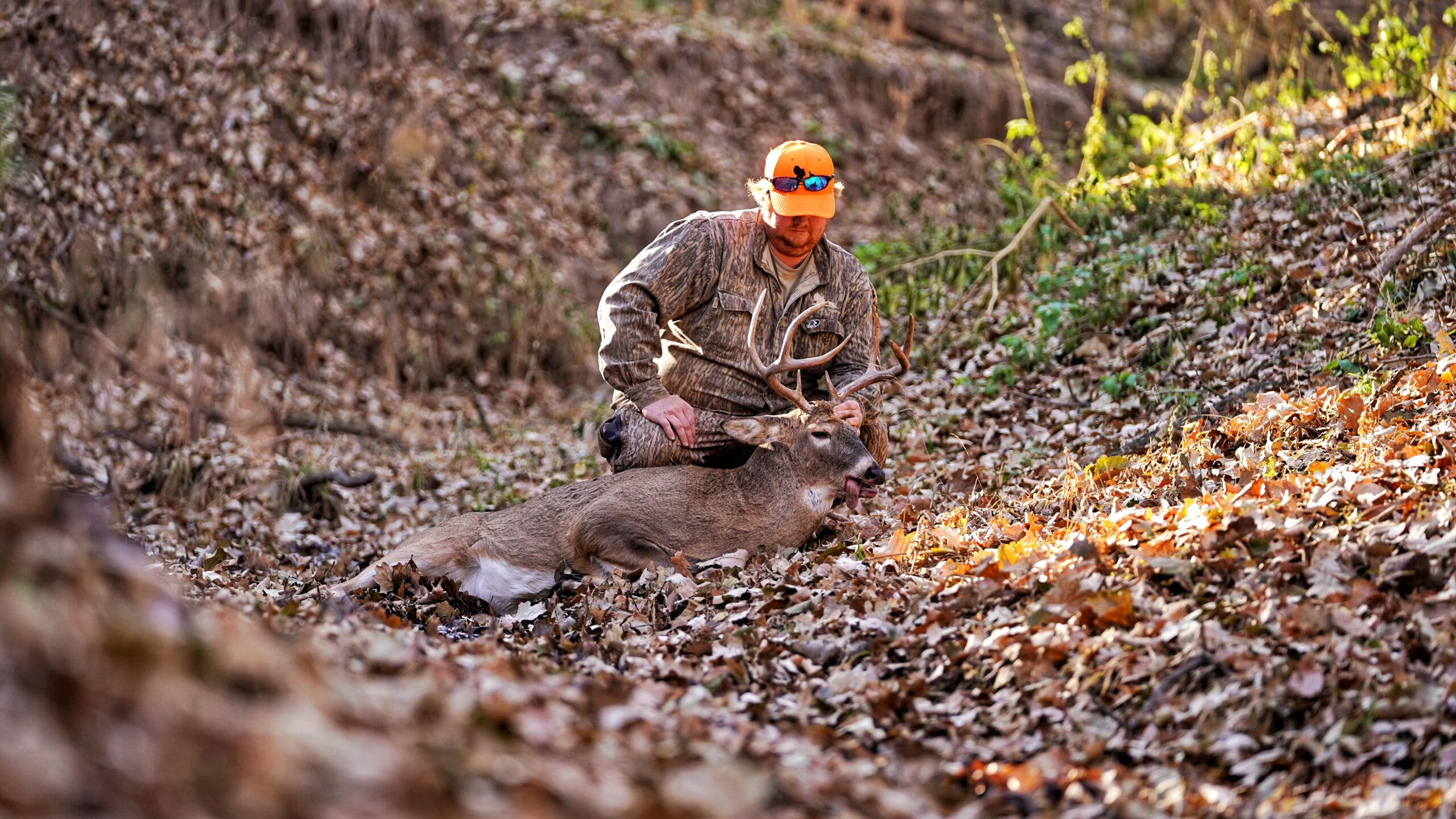 Nebraska Deer hunter with successful deer harvest. 