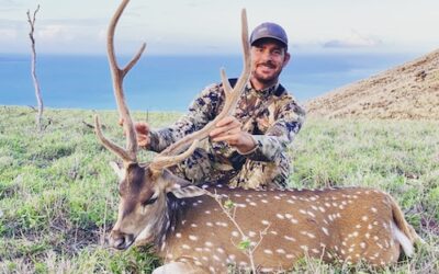 From Surf to Stalk: Why Axis Deer Hunting Belongs on Your Hawaii Bucket List