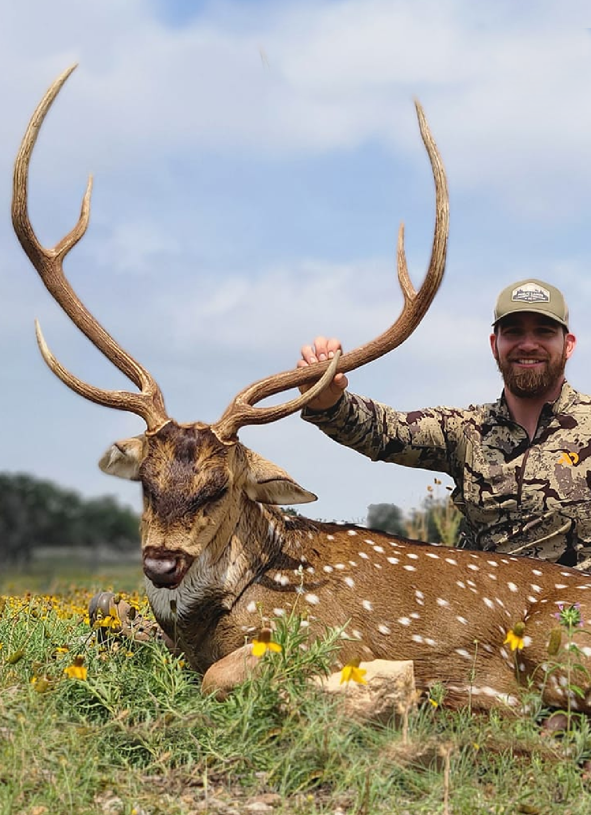 Florida Osceola Turkey Hunt, Hunter shown with turkey surrounded by oranges in Florida.