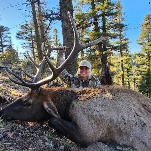 Nebraska snow goose with band.