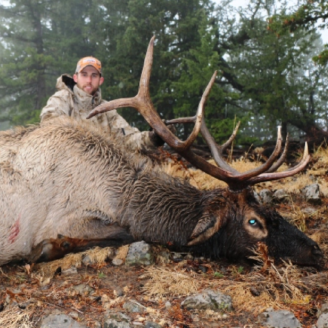 Florida Osceola Turkey Hunt, Hunter shown with turkey surrounded by oranges in Florida.