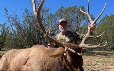 How Venku Protects Your Money and Ensures Trusted Outfitters