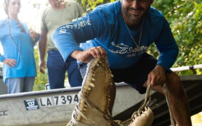 How Online Payments Work for Hunting Outfitters