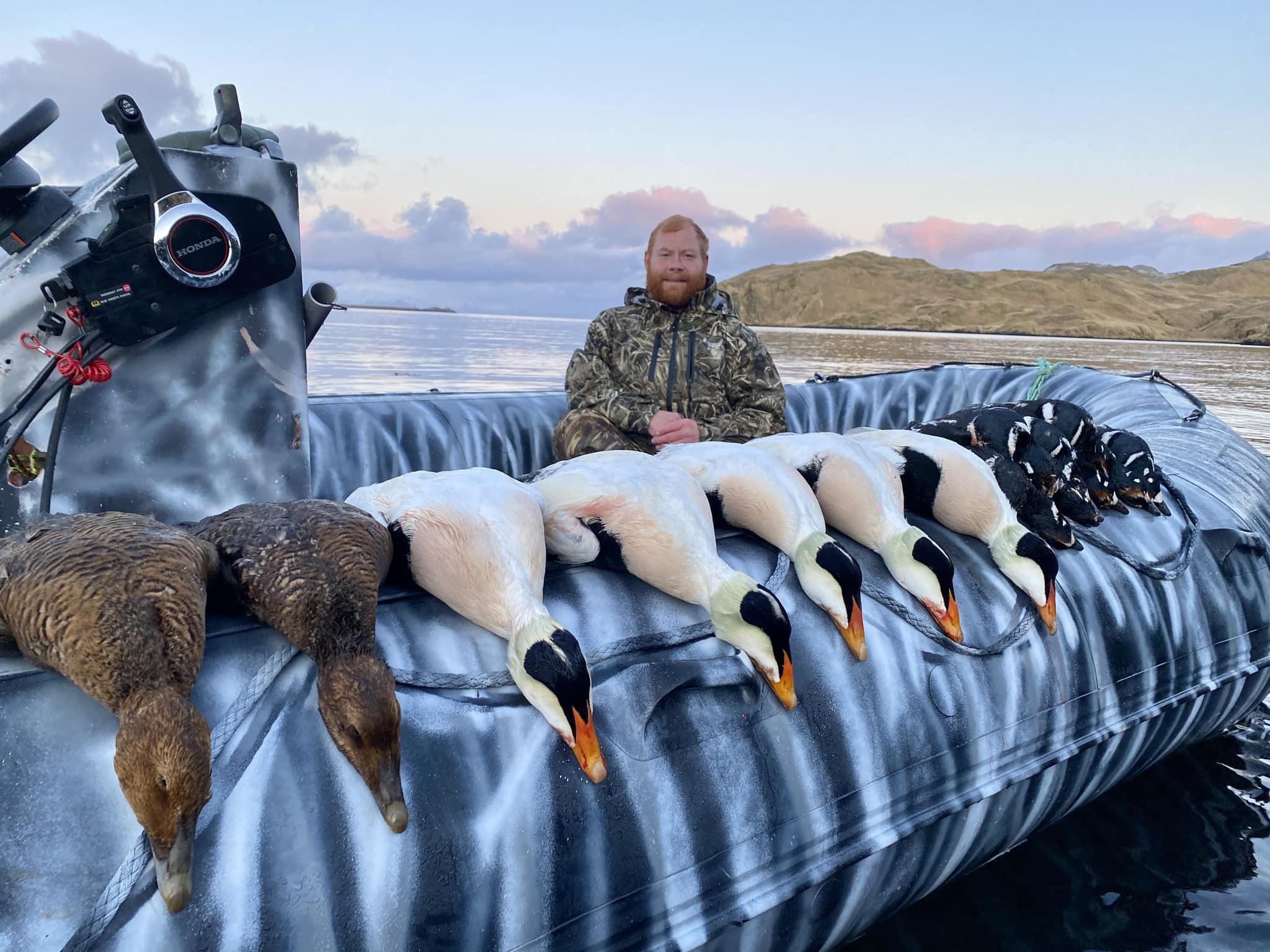Nebraska snow goose with band.