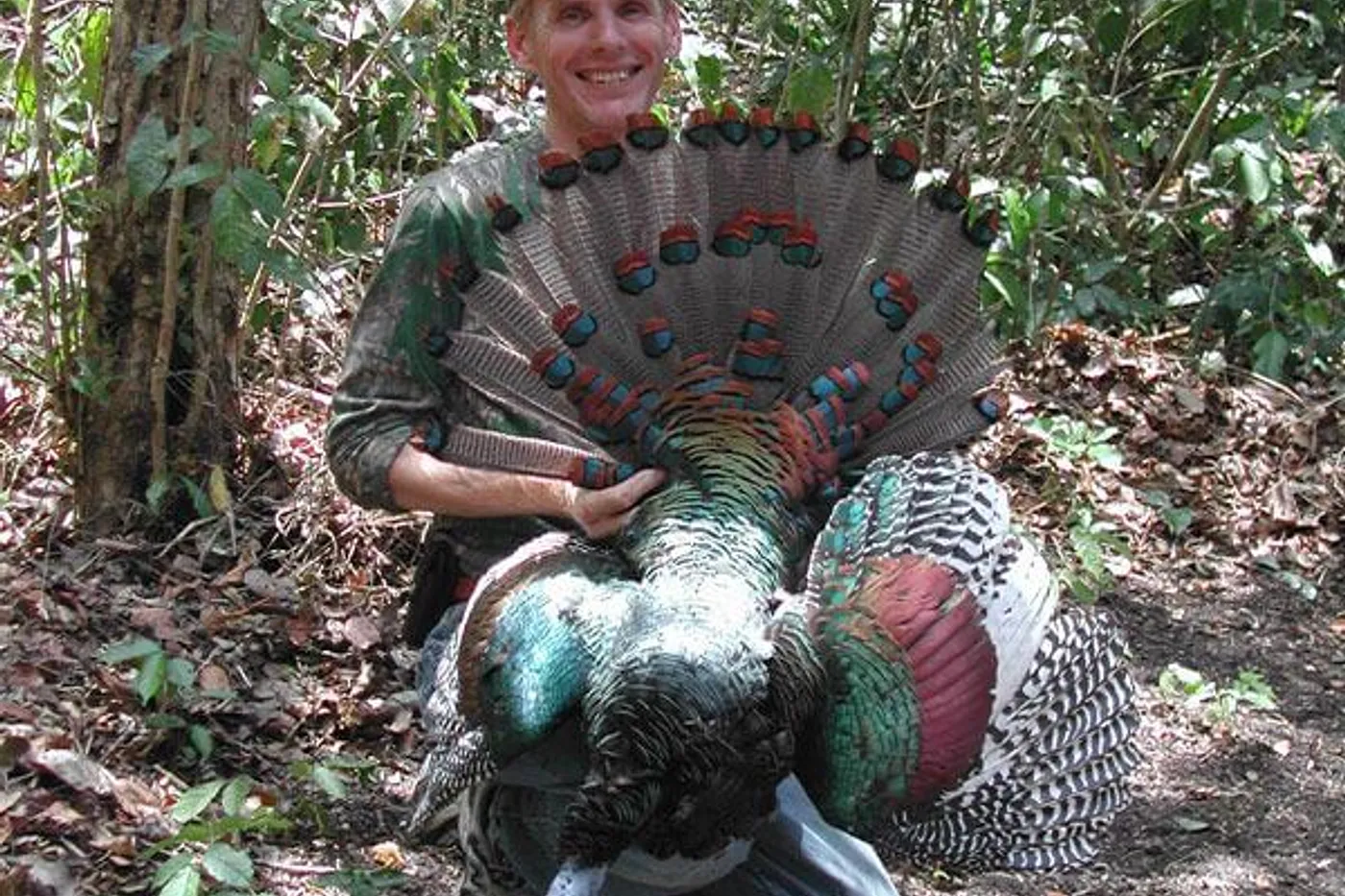 Campeche, Turkey 1 Osceola hunters in Florida with hunting guide, shown with two successful harvests.
