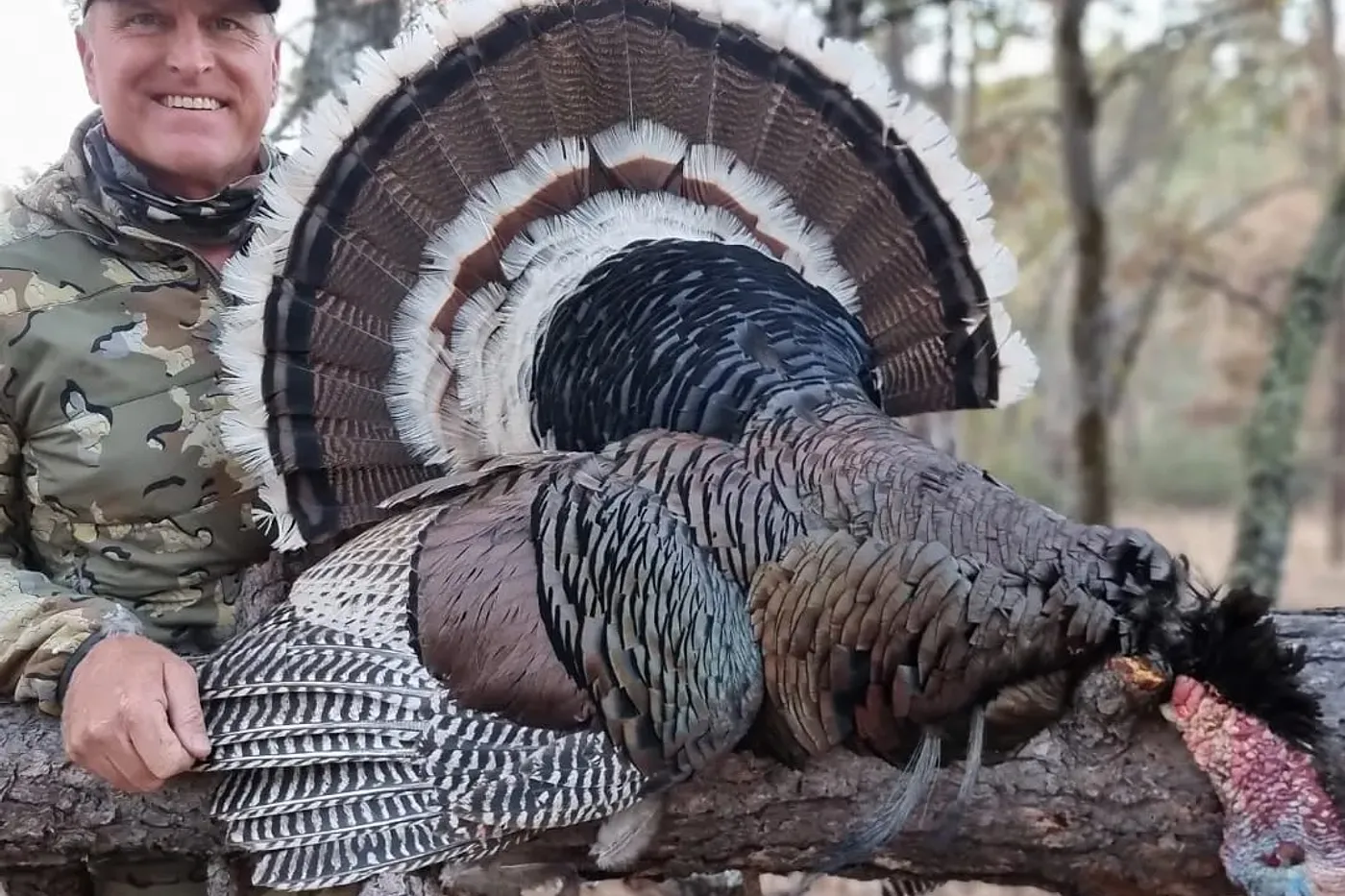 Hunter Bender - MX Goulds Turkey 4 Osceola hunters in Florida with hunting guide, shown with two successful harvests.